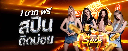 สมัคร BMPLUS